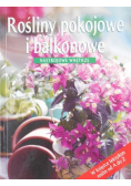 Rośliny pokojowe i balkonowe Nastrojowe wnętrze