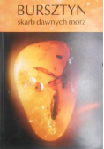 Bursztyn skarb dawnych mórz