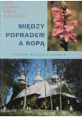 Między popradem a ropą