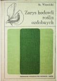 Zarys hodowli roślin ozdobnych