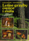 Leśne grzyby owoce i zioła