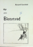 Idąc przez Bieszczad