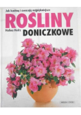 Rośliny doniczkowe