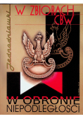 W obronie niepodległości