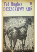 Deszczowy koń