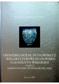 Grodzisko Dolne stanowisko 22 wielokulturowe stanowisko nad Dolnym Wisłokiem część II