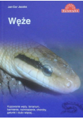 Węże