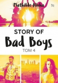 Story of Bad Boys