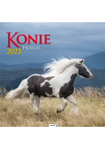 Kalendarz 2023 Ścienny Konie AVANTI