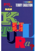 Po co nam kultura