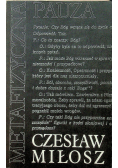 Metafizyczna pauza