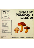 Grzyby polskich lasów