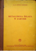 Metalurgia żelaza w zarysie