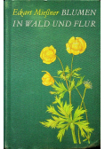 Blumen in Wald Und Flur