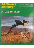 Tajemnice zwierząt Ptaki dziwaki