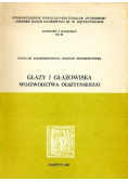 Głazy i głazowiska województwa olsztyńskiego