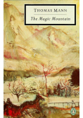 The Magic Mountain
