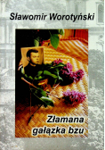 Złamana gałązka bzu
