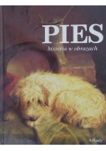 Pies historia w obrazach