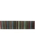Biblioteka Gazety Wyborczej XIX wiek tom 1 do 30