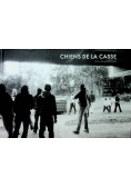 Chiens de la casse