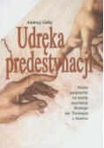 Udręka predystynacji