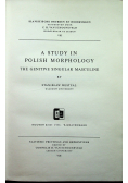 A study in Polish morphology