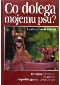 Co dolega mojemu psu