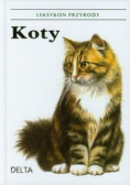 Koty Leksykon przyrody
