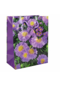 Torba ozdobna 17,8x10,2x22,8cm (12szt)
