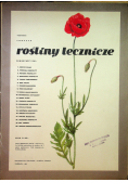 Rośliny lecznicze 20 tablic