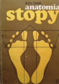 Anatomia stopy