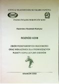 Rozród koni