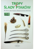 Tropy ślady ptaków