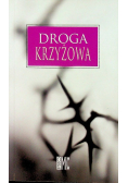 Droga krzyżowa
