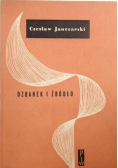 Dzbanek i źródło