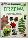 Drzewa
