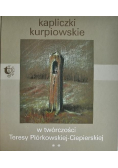 Kapliczki kurpiowskie