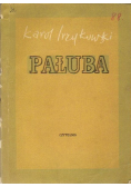 Pałuba