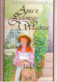 Ania z Zielonego Wzgórza