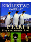 Krolestwo zwierząt Ptaki Pingwiny strusie i kiwi