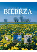 Prawdziwa Polska Biebrza s