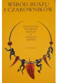 Wśród buszu i czarowników Antologia polskich relacji o ludach Afryki