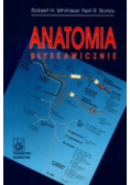 Anatomia błyskawicznie