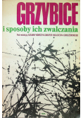 Grzybice i sposoby ich zwalczania