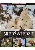 Niedźwiedzie