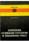 Zagrożenia czynnikami fizycznymi w środowisku pracy