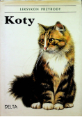 Koty