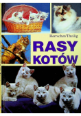 Rasy kotów