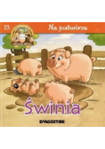 Na podwórzu świnia